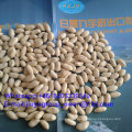 Blanched Peanut Groundnut High Quality